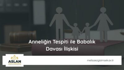 Anneliğin Tespiti ile Babalık Davası İlişkisi