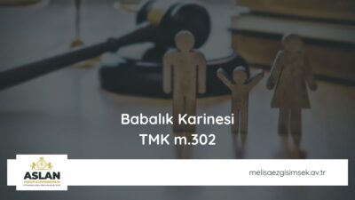 Babalık Karinesi - TMK m.302