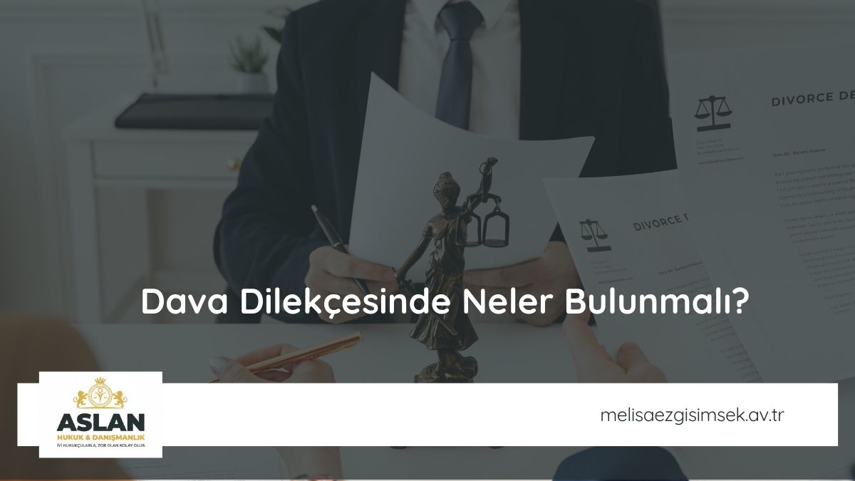 Dava Dilekçesinde Neler Bulunmalı?