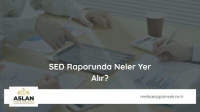 SED Raporunda Neler Yer Alır?