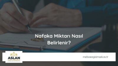 Nafaka Miktarı Nasıl Belirlenir?