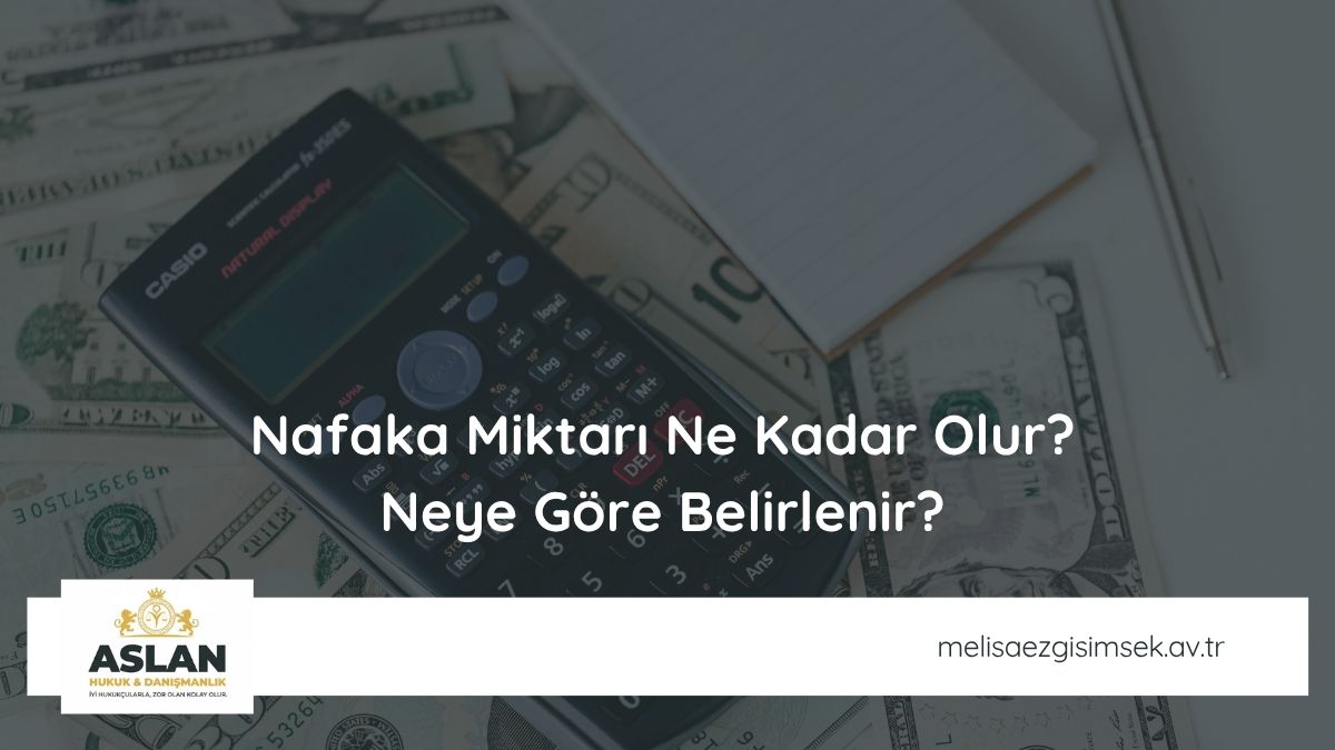Nafaka Miktarı Ne Kadar Olur? Neye Göre Belirlenir?