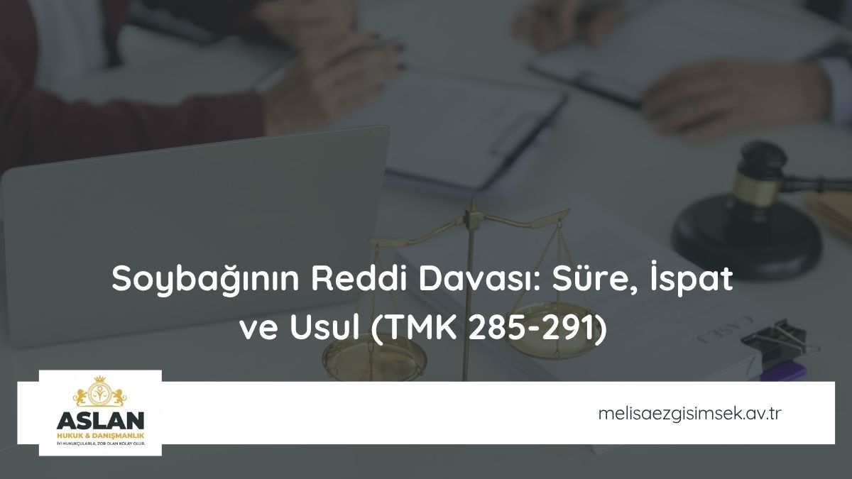 Soybağının Reddi Davası: Süre, İspat ve Usul (TMK 285-291)