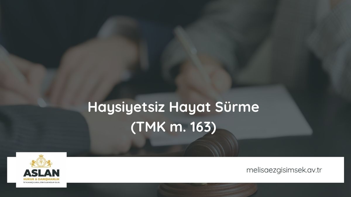 Haysiyetsiz Hayat Sürme (TMK m. 163)