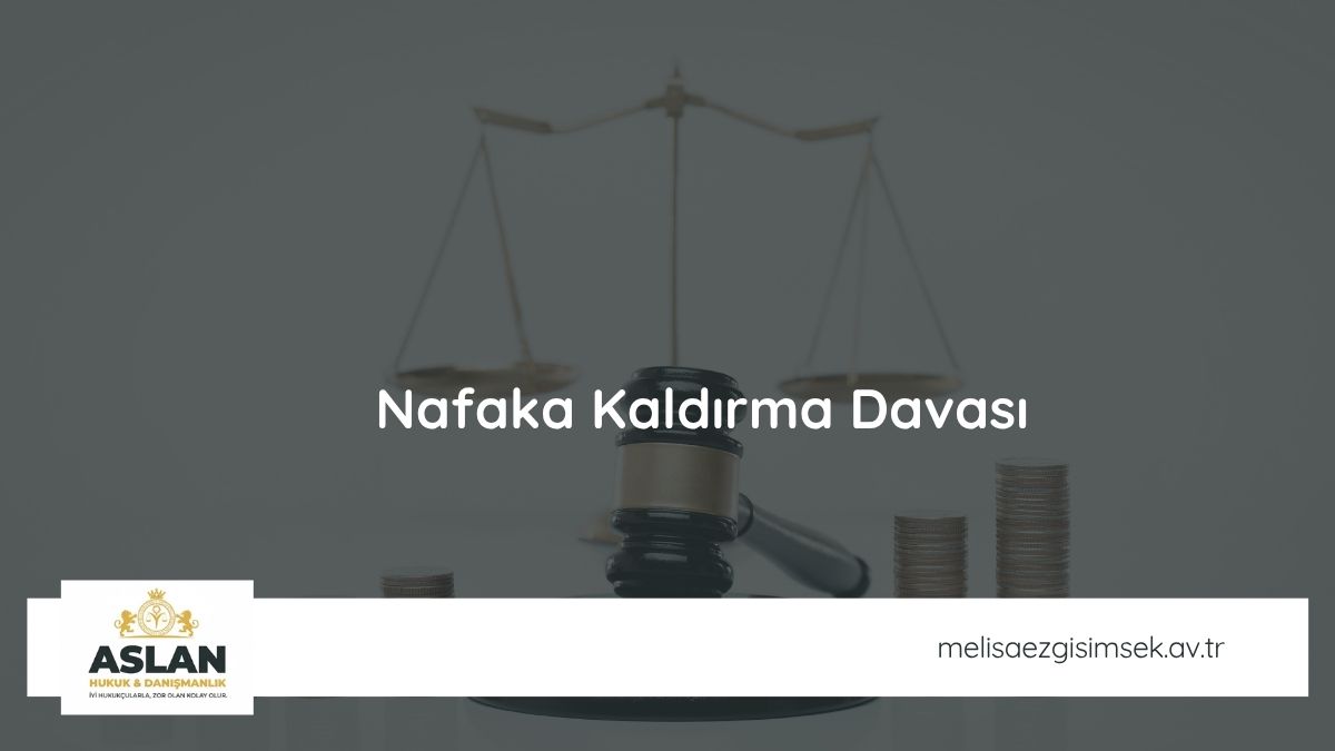 Nafaka Kaldırma Davası