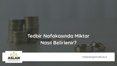 Tedbir Nafakasında Miktar Nasıl Belirlenir?