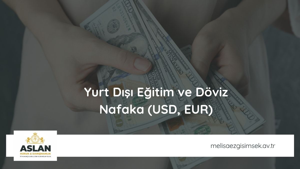 Yurt Dışı Eğitim ve Döviz Nafaka (USD, EUR)