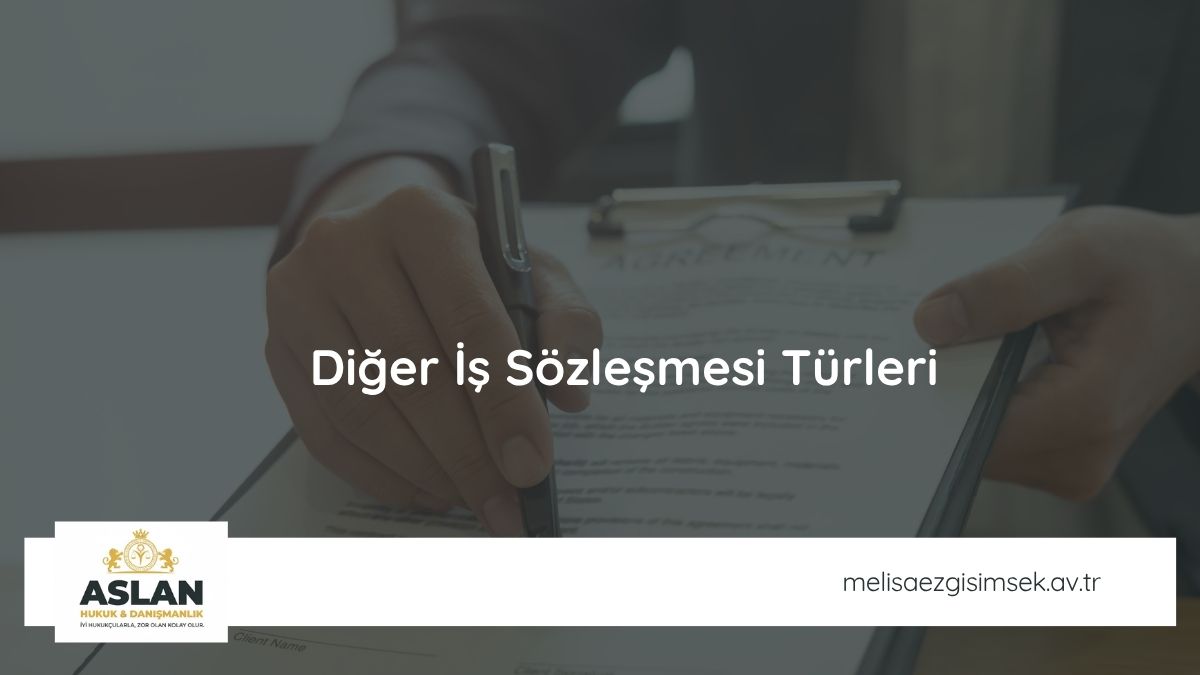 Diğer İş Sözleşmesi Türleri