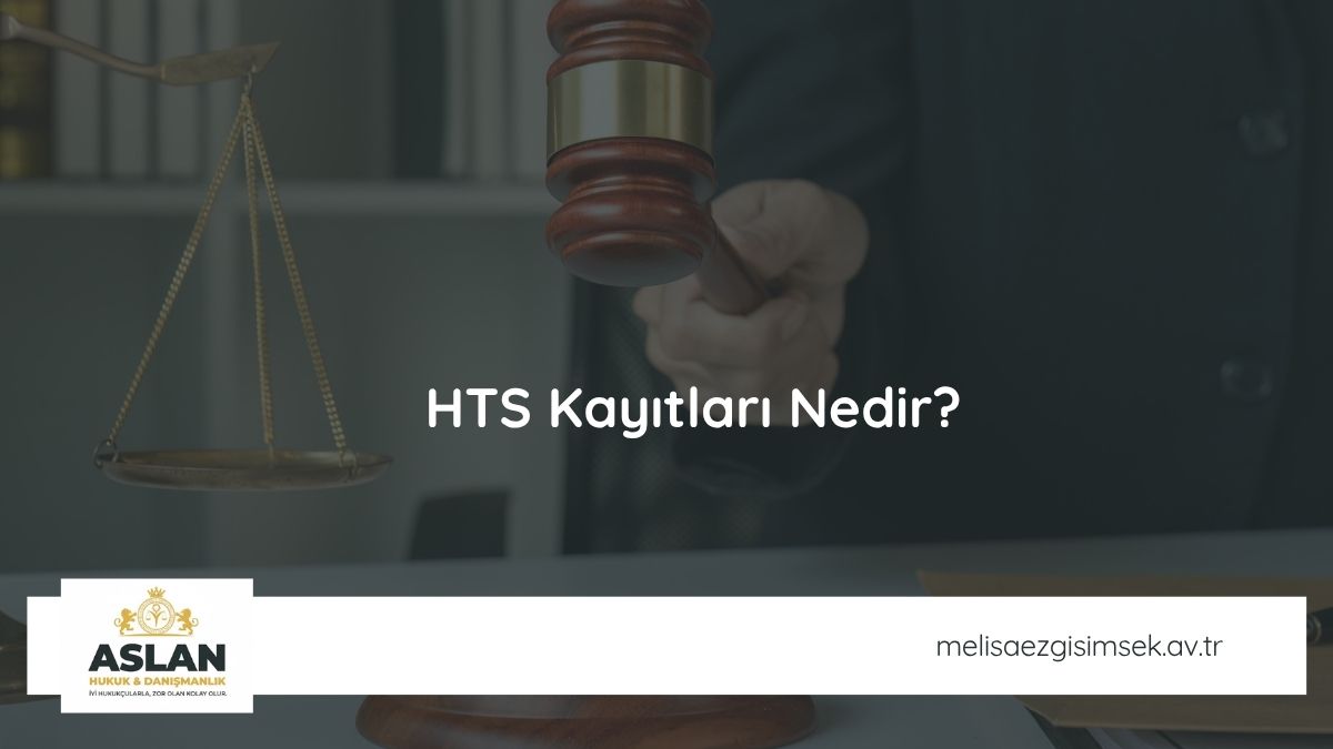 HTS Kayıtları Nedir?