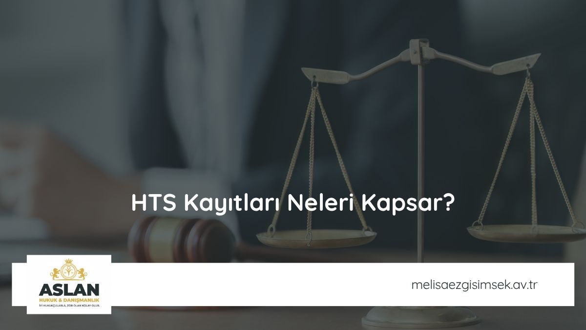 HTS Kayıtları Neleri Kapsar?
