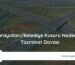Karayolları/Belediye Kusuru Nedeniyle Tazminat Davası